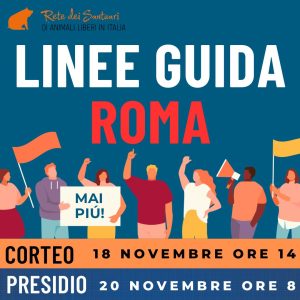 Linee guida sulla manifestazione