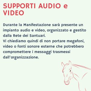 Supporti audio e video