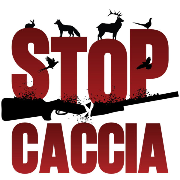 stop-caccia