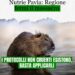 nutrie a pavia